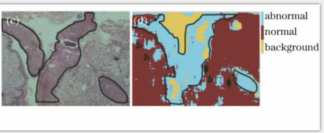 1597661138918560.png 5.png