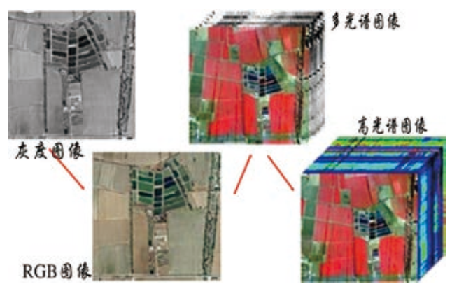 1613981571356433.png 3.png