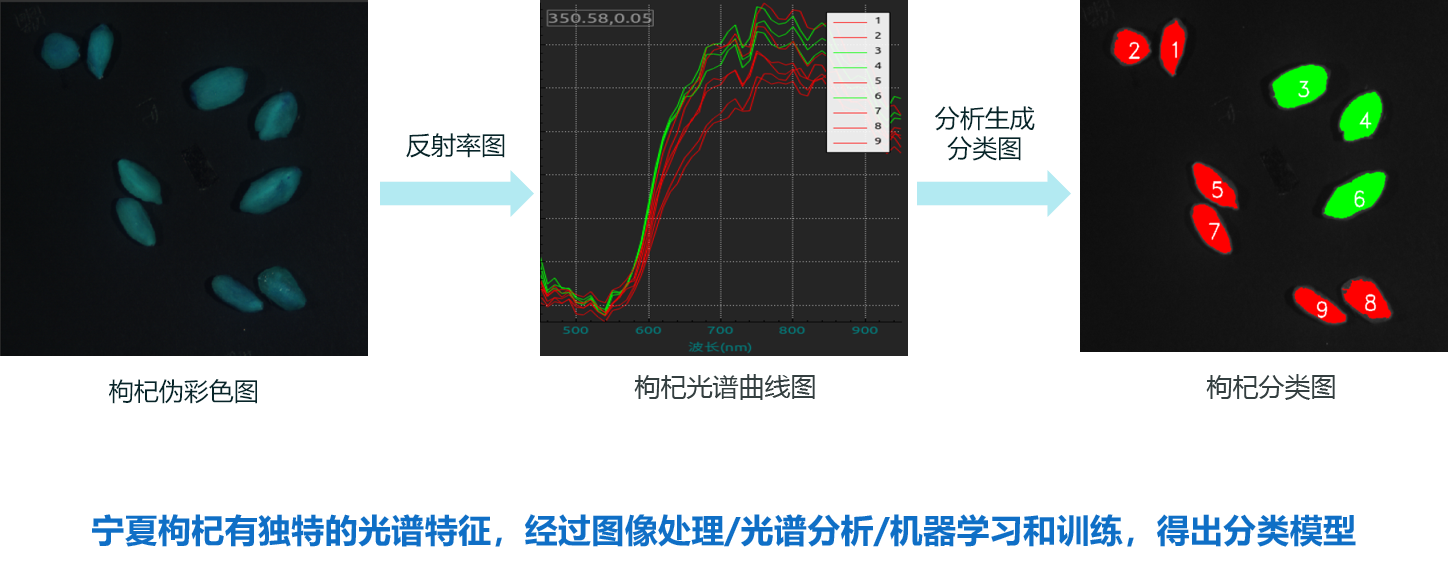 1615963561765578.png 圖片1.png