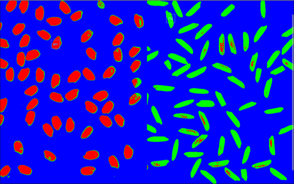 1615964560382036.png 圖片2.png