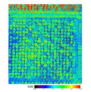 1639378166475178.jpg 6.jpg