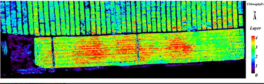 1649656062698260.png 2.png