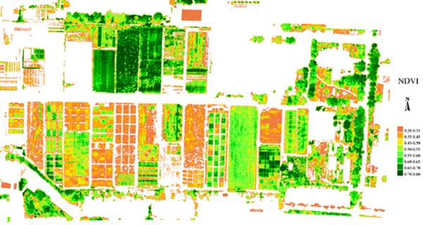 1649656084224965.png 3.png