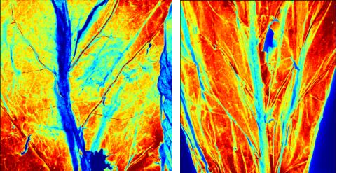 1639375565869179.png 1639375565869179.png