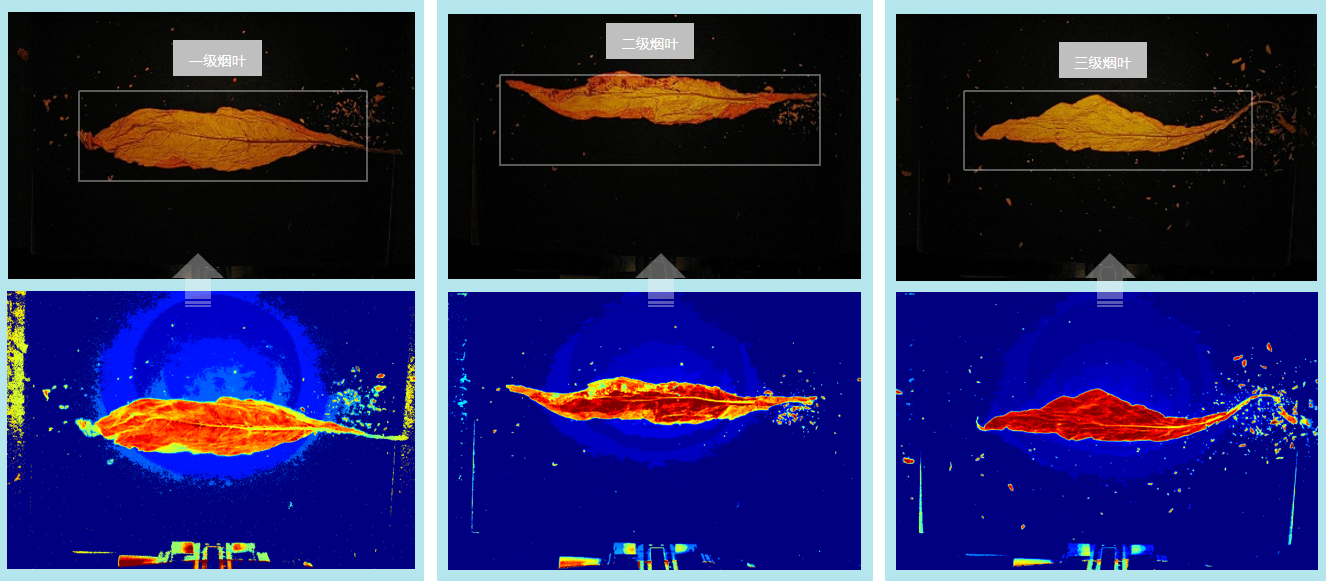 1655866317475974.png 2.png