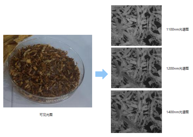 1709089353545266.png 1709089353545266.png